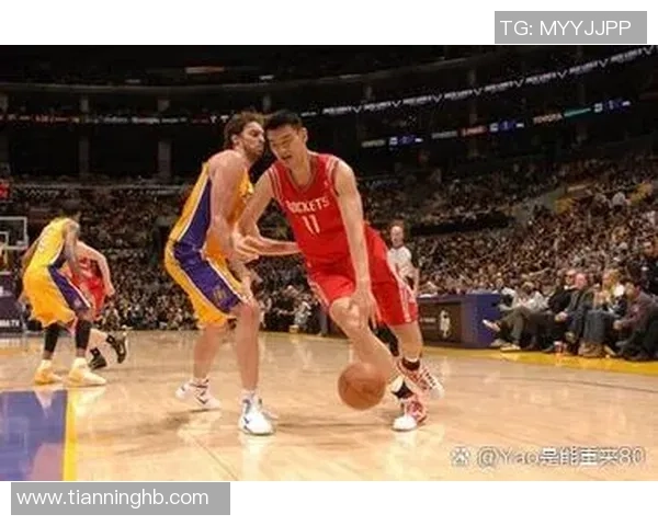 长胡子姚明的篮球传奇与生活趣事分享